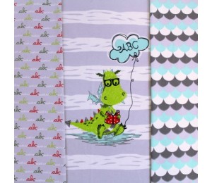 Biojersey Drago goes to school - grau